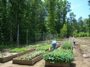 Raised Bed Garden